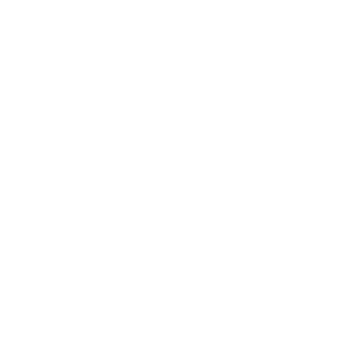 clock icon white